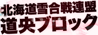 北海道雪合戦連盟 道央ブロック